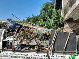 Best Same-Day Junk Removal Services  in Lawton, IA