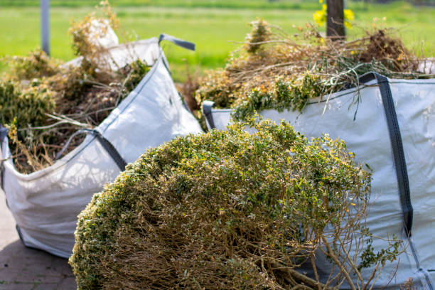 Best Residential Junk Removal  in Lawton, IA